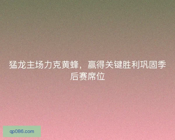 猛龙主场力克黄蜂,赢得关键胜利巩固季后赛席位 猛龙主场力克黄蜂,赢得关键胜利巩固季后赛席位